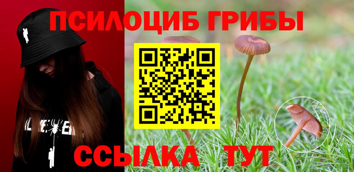 Псилоцибиновые грибы Magic Shrooms Электрогорск